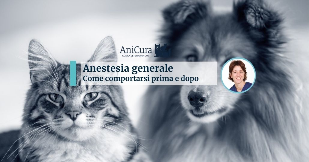 anestesia generale cane e gatto